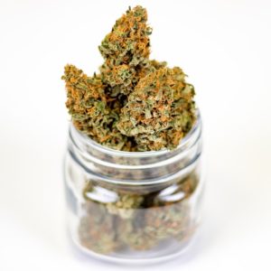 What Is The Best Marijuana Strain For Anxiety?